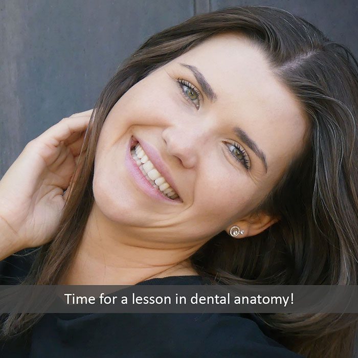 dental anatomy 2022 700 Midtown General & Cosmetic Dentistry